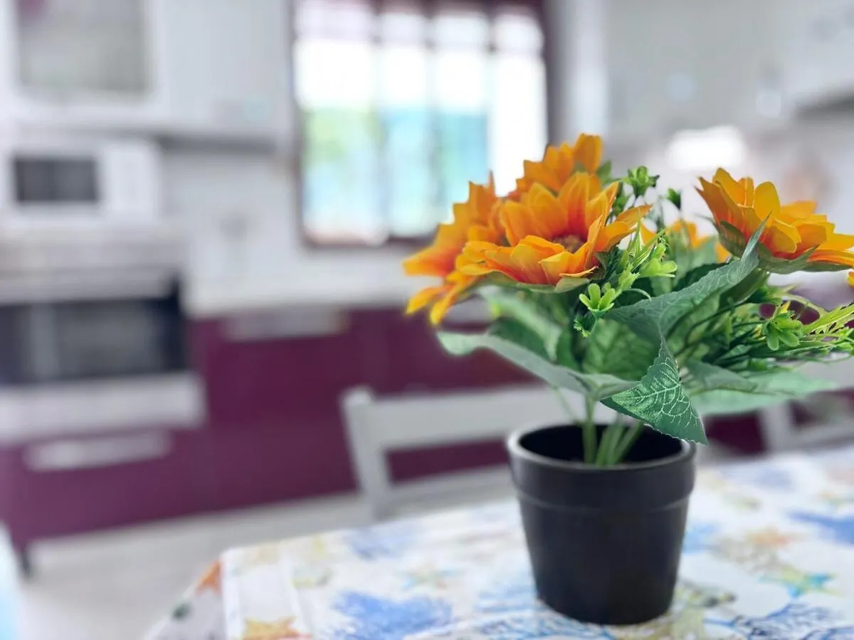 Garden Stay, Quartu Sant'Elena, Cagliari, Sardegna 0*,
